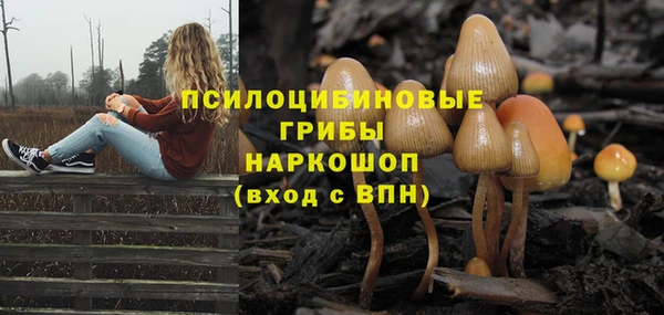 молекула духа Абаза