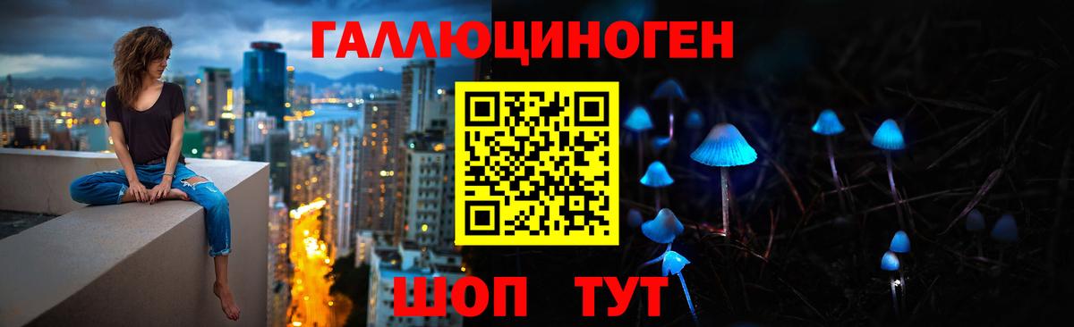 Фрязино  Псилоцибиновые грибы Psilocybe  Вход с VPN 